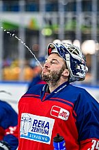 Eishockey, Herren, Penny DEL, Playoffs, Viertelfinale, Spiel 7, Saison 2023-2024, Straubing Tigers - Schwenninger Wild Wings,30.03.2024