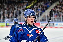 Eishockey, Men, DEL, Penny DEL, Hauptrunde Saison 2024-25, 4. Spieltag, Straubing Tigers - EHC Red Bull München, 29.09.2024