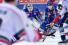 Eishockey, Herren, CHL, Champions Hockey League, Saison 2022-2023, Achtelfinale, Straubing Tigers - Frölunda HC Göteborg, Rückspiel, 22.11.2022