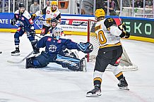 Eishockey, Men, CHL, Champions Hockey League, Regular Saison 2024-25, Game Day 2, Straubing Tigers - Skelleftea AIK, 08.09.2024