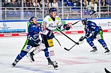 Eishockey, Men, DEL, Penny DEL, Hauptrunde Saison 2024-25, 5. Spieltag, Straubing Tigers - Eisbären Berlin, 01.10.2024