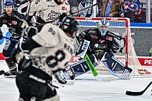 Eishockey, Herren, Penny DEL, 47. Spieltag, Saison 2023-2024, Straubing Tigers - Koelner Haie,18.02.2024