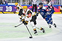 Eishockey, Men, CHL, Champions Hockey League, Regular Saison 2024-25, Game Day 2, Straubing Tigers - Skelleftea AIK, 08.09.2024