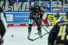 Eishockey, Herren, Penny DEL, 12. Spieltag, Saison 2023-2024, Straubing Tigers - Duesseldorfer EG,20.10.2023