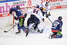 Eishockey, Herren, DEL, Saison 2020-2021, Straubing Tigers - EHC Red Bull München, 22.02.2021