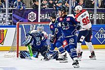 Eishockey, Men, CHL, Champions Hockey League, Regular Saison 2024-25, Game Day 4, Straubing Tigers - Dynamo Pardubice, 15.09.2024