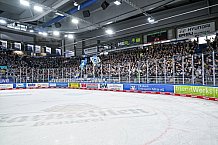 Eishockey, Herren, Penny DEL, 49. Spieltag, Saison 2023-2024, Straubing Tigers - Frankfurter Löwen,25.02.2024