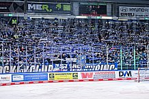 Eishockey, Herren, Penny DEL, DEL, Saison 2022-2023, Playoffs, Viertelfinale, Spiel 5, Straubing Tigers - Grizzlys Wolfsburg, 24.03.2023