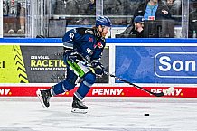 Eishockey, Herren, Penny DEL, Playoffs, Halbfinale, Spiel 2, Saison 2023-2024, Straubing Tigers - Eisbären Berlin, n03.04.2024