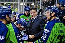 Eishockey, Herren, DEL, Saison 2022-2023, Hauptrunde, Straubing Tigers - Löwen Frankfurt, 7. Spieltag, 02.10.2022