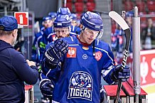 Eishockey, CHL, Champions Hockey League, 1. Spieltag, Saison 2022-2023, Gruppe F, Comarch Cracovia - Straubing Tigers, 01.09.2022