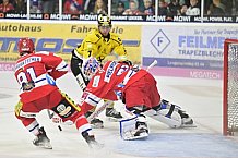 Herren, Eishockey, Oberliga-Süd, DEB, Saison 2024-2025, Deggendorfer SC - Tölzer Löwen, 22.09.2024