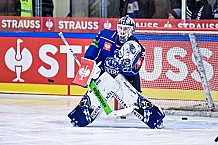 Eishockey, Herren, CHL, Champions Hockey League, Saison 2022-2023, Achtelfinale, Straubing Tigers - Frölunda HC Göteborg, Rückspiel, 22.11.2022