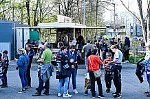 Eishockey, Herren, DEL, Saison 2021-2022, Playoff, Viertelfinale, Spiel 3, Straubing Tigers - Adler Mannheim, 14.04.2022
