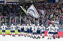 Eishockey, Herren, Penny DEL, 44. Spieltag, Saison 2023-2024, Straubing Tigers - Adler Mannheim,04.02.2024