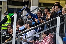 Eishockey, Herren, DEL, Saison 2021-2022, Playoff, Viertelfinale, Spiel 3, Straubing Tigers - Adler Mannheim, 14.04.2022