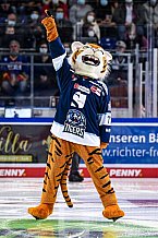 Eishockey, Herren, DEL, Saison 2021-2022, Panther, 17.09.2021