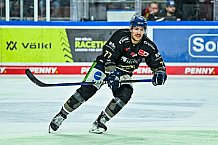 Eishockey, Herren, Penny DEL, 17. Spieltag, Saison 2023-2024, Straubing Tigers - EHC Red Bull Muenchen,03.11.2023