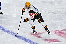 Eishockey, Men, CHL, Champions Hockey League, Regular Saison 2024-25, Game Day 2, Straubing Tigers - Skelleftea AIK, 08.09.2024