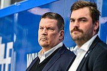 Eishockey, Herren, Penny DEL, 20. Spieltag, Saison 2023-2024, Straubing Tigers - Duesseldorfer EG,19.11.2023
