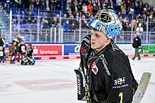 Eishockey, Herren, Penny DEL, 47. Spieltag, Saison 2023-2024, Straubing Tigers - Koelner Haie,18.02.2024