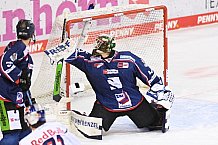 Eishockey, Herren, DEL, Saison 2020-2021, Straubing Tigers - EHC Red Bull München, 22.02.2021