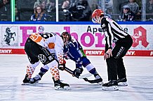 Eishockey, Herren, Penny DEL, DEL, Saison 2022-2023, Playoffs, Viertelfinale, Spiel 5, Straubing Tigers - Grizzlys Wolfsburg, 24.03.2023