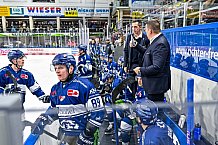 Eishockey, Herren, Penny DEL, 32. Spieltag, Saison 2023-2024, Straubing Tigers - Adler Mannheim,28.12.2023