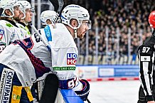 Eishockey, Herren, Penny DEL, 50. Spieltag, Saison 2023-2024, Straubing Tigers - Eisbären Berlin,01.03.2024