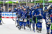 Eishockey, Men, DEL, Penny DEL, Hauptrunde Saison 2024-25, 1. Spieltag, Straubing Tigers - Düsseldorfer EG, 20.09.2024