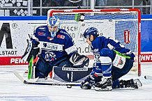 Eishockey, Herren, Penny DEL, 42. Spieltag, Saison 2023-2024, Straubing Tigers - Ingolstadt Panther,28.01.2024