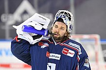 Eishockey, Herren, DEL, Saison 2020-2021, Straubing Tigers - Schwenninger Wild Wings, 17.02.2021
