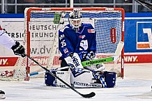 Eishockey, Herren, Penny DEL, DEL, Saison 2022-2023, Hauptrunde, Straubing Tigers - Kölner Haie, 29. Spieltag, 11.12.2022