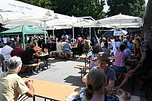 Eishockey, Herren, DEL, Saison 2021-2022, Straubing Tigers, 14.08.2021