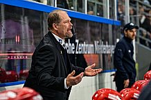 Eishockey, Herren, Penny DEL, Playoffs, Viertelfinale, Spiel 7, Saison 2023-2024, Straubing Tigers - Schwenninger Wild Wings,30.03.2024