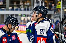 Eishockey, Men, CHL, Champions Hockey League, Regular Saison 2024-25, Game Day 2, Straubing Tigers - Skelleftea AIK, 08.09.2024