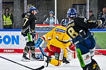 Eishockey, Herren, Penny DEL, 20. Spieltag, Saison 2023-2024, Straubing Tigers - Duesseldorfer EG,19.11.2023
