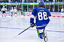 Eishockey, Herren, DEL, Penny DEL, Vorbereitung, Gäubodencup 2023, Saison 2023-2024, Straubing Tigers - Nürnberg Ice Tigers,18.08.2023