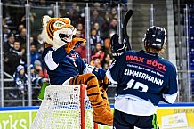 Eishockey, Herren, DEL, Saison 2021-2022, 05.11.2021
