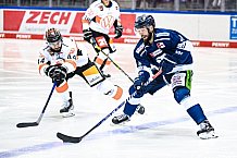 Eishockey, Herren, DEL, Saison 2021-2022, 39. Spieltag, Straubing Tigers - Grizzlys Wolfsburg,  18.02.2022