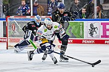 Eishockey, Herren, Penny DEL, 50. Spieltag, Saison 2023-2024, Straubing Tigers - Eisbären Berlin,01.03.2024