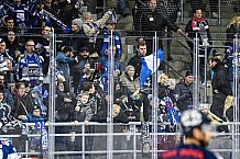 Eishockey, Herren, DEL, Saison 2021-2022, 07.11.2021
