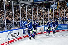 Eishockey, Men, DEL, Penny DEL, Hauptrunde Saison 2024-25, 1. Spieltag, Straubing Tigers - Düsseldorfer EG, 01.01.2021