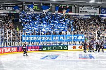 Eishockey, Men, CHL, Champions Hockey League, Regular Saison 2024-25, Game Day 1, Straubing Tigers - SonderjyskE Vojens, 06.09.2024