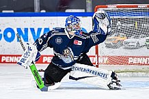 Eishockey, Herren, DEL, Saison 2020-2021, Straubing Tigers - Düsseldorfer EG, 04.04.2021