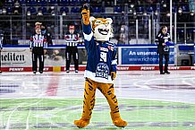 Eishockey, Herren, DEL, Saison 2021-2022, 56. Spieltag, Straubing Tigers - Fishtown Pinguins Bremerhaven,  18.03.2022