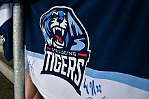 Eishockey, Herren, DEL, Saison 2023-2023, Straubing Tigers, Showtraining, 07.08.2022