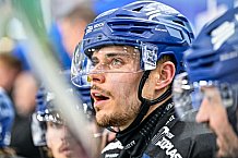 Eishockey, Herren, Penny DEL, Playoffs, Viertelfinale, Spiel 7, Saison 2023-2024, Straubing Tigers - Schwenninger Wild Wings,30.03.2024