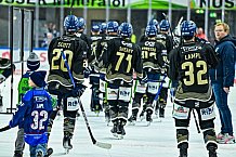 Eishockey, Herren, Penny DEL, 12. Spieltag, Saison 2023-2024, Straubing Tigers - Duesseldorfer EG,20.10.2023