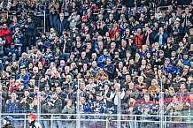 Eishockey, Herren, Penny DEL, Playoffs, Halbfinale, Spiel 2, Saison 2023-2024, Straubing Tigers - Eisbären Berlin, n03.04.2024